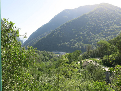 欧洲 旅行 美丽的 森林 夏天 自然 阿尔卑斯山 小山 山谷