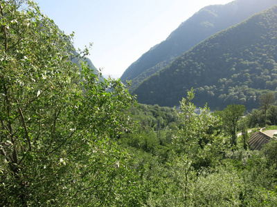 阿尔卑斯山 自然 旅游业 风景 夏天 徒步旅行 天空 小山