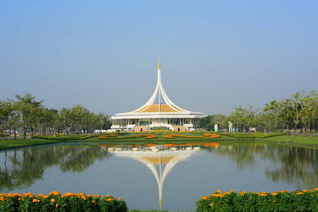 风景 植物 美丽的 池塘 春天 森林 反射 天空 公园 场景