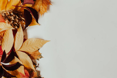 秋色背景红黄相间的落叶碑刻处图片