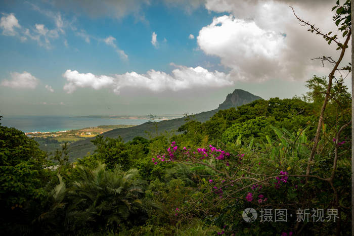 公园 植物 木材 旅行 森林 古老的 颜色 自然 季节 美丽的