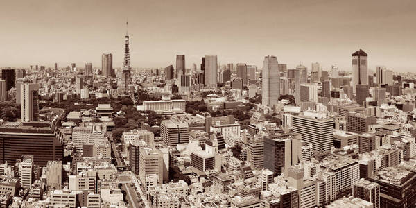 市中心 地标 城市 屋顶 全景图 日本人 摩天大楼 东京