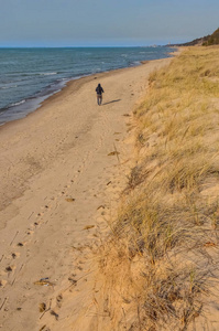 海滩 海岸线 生态学 美丽的 木材 沙丘 印第安纳州 旅游业