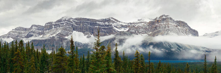 朦胧 薄雾 自然 落基山脉 风景 加拿大 冬天 全景图 冰川