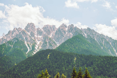 背景为阿尔卑斯山山顶冷杉树景观