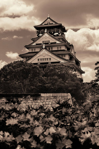 旅行 地标 公园 日本 建筑学 城市景观 历史 日本人 古老的