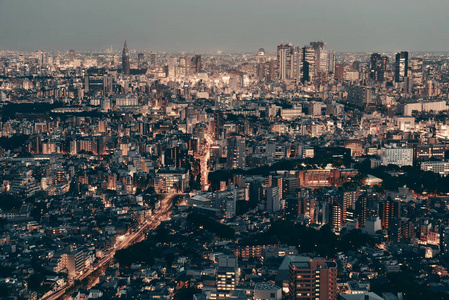 黄昏 全景图 建筑学 地标 全景 大都市 建筑 市中心 城市景观