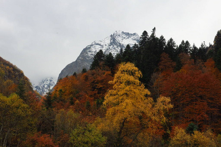 山峦秋景，五彩缤纷的森林，高加索山脉，东湾