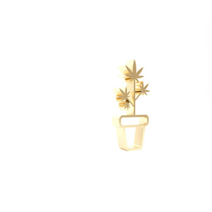 金色医用或植物盆栽图标隔离在白色背景上。种植概念。盆栽植物。三维插图三维渲染