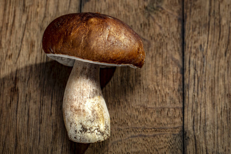 真菌 秋天 烹饪 公司 采摘 苔藓 植物 季节 篮子 食物