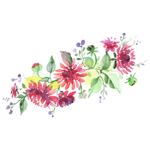 花束植物花。水彩背景插图集。孤立的花束插图元素。