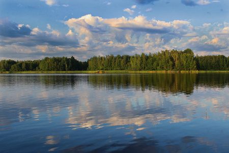 自然 森林 夏天 俄罗斯 旅行 天空 旅游业