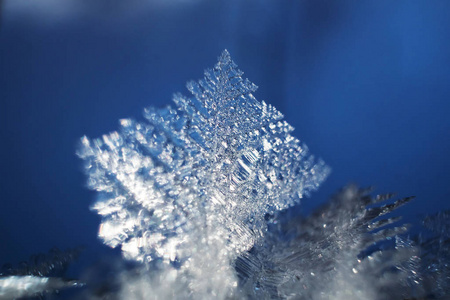 寒冷的 冷冰冰的 圣诞节 雪花 二月 特写镜头 雪堆 降雪