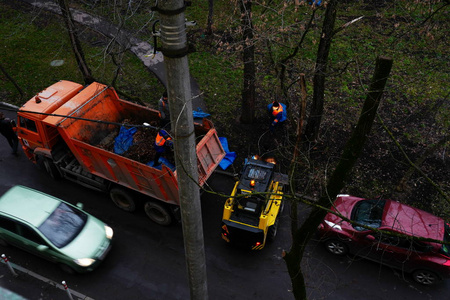 运输 旅行 发动机 开车 车辆 吉普车 比赛 卡车 驱动