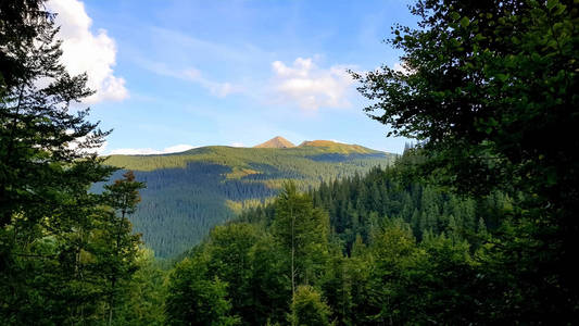 夏天 旅行 徒步旅行 森林 天空 山谷 环境 风景 小山