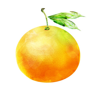 甜点 可爱的 食物 甜的 绘画 美丽的 春天 普通话 柑橘