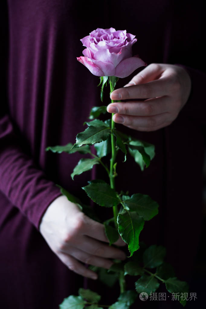 手拿玫瑰花的女人图片图片