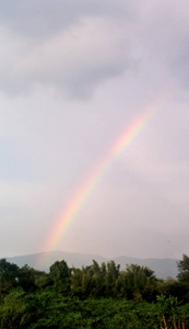山川背景陆地上的自然彩虹