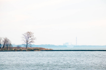 云景 空气 地平线 和平 假日 阳光 海滩 涟漪 夏天 波动