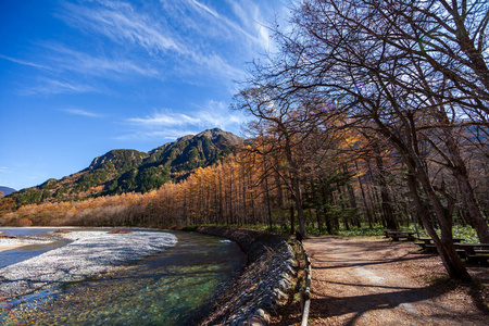 秋天 旅游业 乡村 森林 日本 山谷 旅行 公园 丘陵 阿尔卑斯山