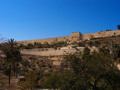 以色列 全景图 十一月 耶路撒冷 秋天 石灰石