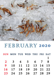十二月 纸张 新的 二月 布局 日记 规划师 自然 插图