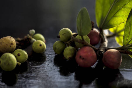 阿拉 树叶 公司 印第安人 浆果 水果 无花果 中国人 阿育吠陀