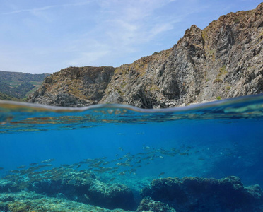 海岸悬崖鱼群图片