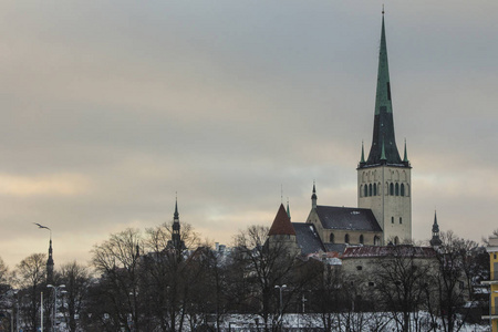 照亮 波罗的海 旅行 历史 历史的 欧洲 早晨 地标 教堂