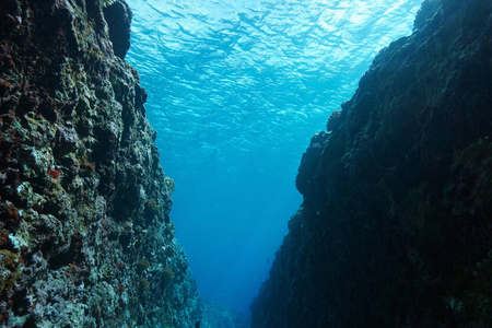 海底裂谷图片