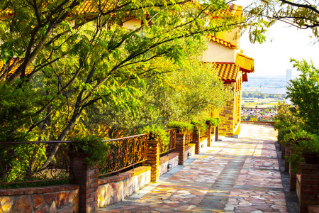 砖墙 旅行 小巷 树叶 风景 夏天 季节 通路 美丽的 走道