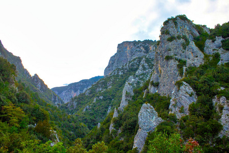 山谷 欧洲 森林 日落 犹他州 秋天 环境 场景 风景 旅行