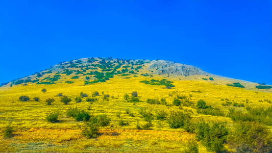 农业 季节 日出 阳光 美丽的 丘陵 全景 森林 环境 天气