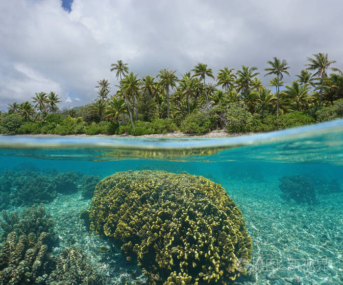 热带海岸和海底珊瑚