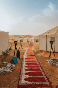 沙漠 极端 非洲 撒哈拉 营地 岩石 摩洛哥 旅游业 夏天