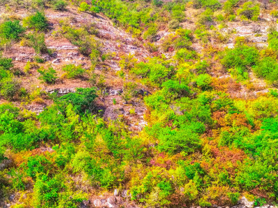 生态学 公园 春天 乡村 丘陵 自然 场景 旅行 小山 季节