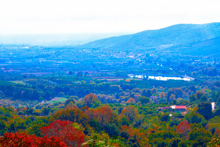 阳光 全景 全景图 树叶 风景 森林 季节 环境 乡村 日落