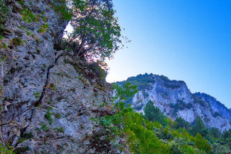 旅行 日落 夏天 公园 天空 山坡 森林 秋天 高的 国家的