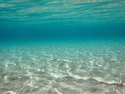 浅海照片水下清澈浅海中阳光的涟漪照片