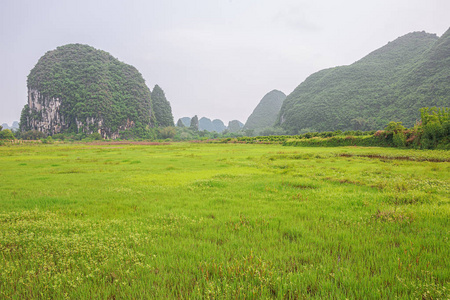 洞穴 风景 作物 休耕 旅游业 种植 阳朔 广西 流行的