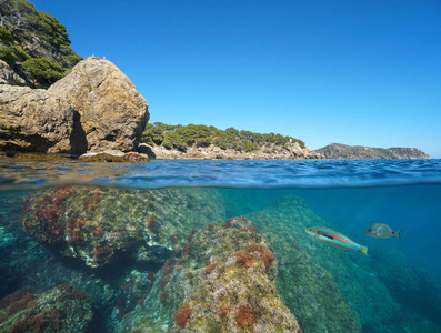 西班牙科斯塔布拉瓦地中海野生岩石海岸