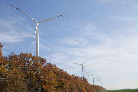 天空 权力 发电机 环境 风电场 生态学 磨坊 能量 涡轮