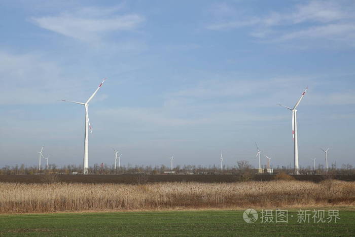 农场 技术 自然 生态学 风车 能量 环境 风电场 权力