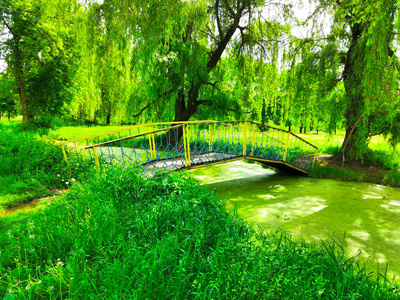 建设 春天 天空 树叶 花园 太阳 旅行 植物 自然 美丽的