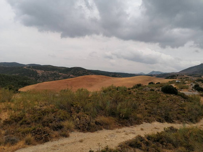 领域 风景 岩石 美丽的 山谷 公园 小山 自然 夏天 旅游业