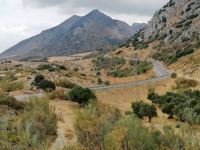 公园 徒步旅行 自然 岩石 旅游业 风景 小山 旅行 美丽的