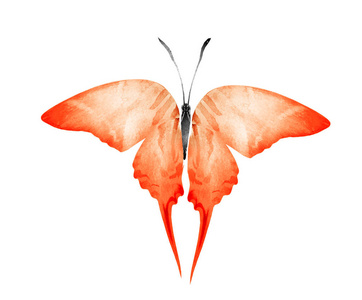 野生动物 绘画 动物 庆祝 梦想 翅膀 艺术品 自由的 蝴蝶