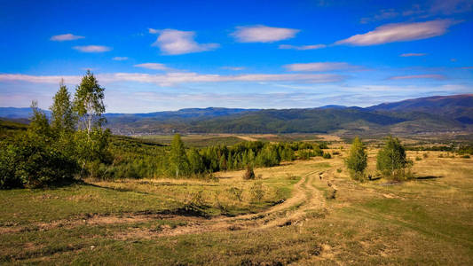 全景图 乌克兰 乡村 夏天 植物区系 动物群 自然 森林