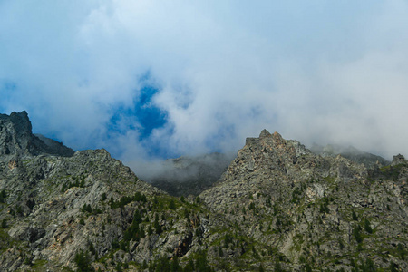 全景图 美女 自由 环境 旅行 山谷 全景 草地 夏天 小山