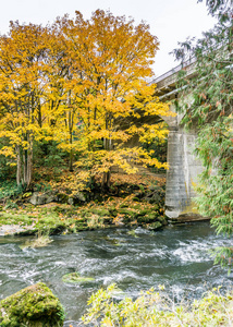 Tumwater Falls公园大桥3